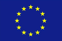 EU Flag