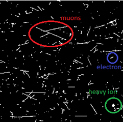 Particle interactions in Medipix detector