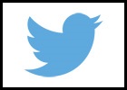 Twitter logo