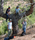 Team Central in the mountain forests