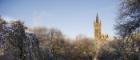 Tower from Kelvingrove during winter