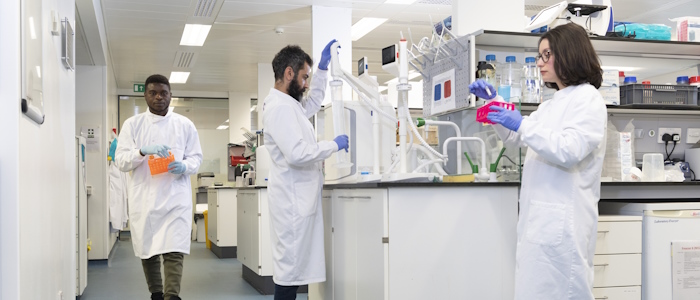 Researchers working in a lab