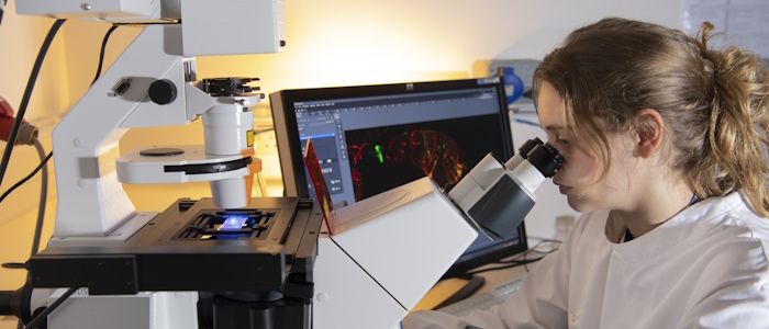 Researcher with microscope and laptop