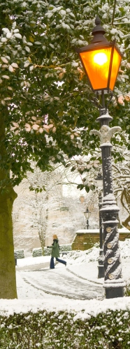 Student, tree and lampost in winter