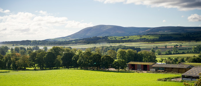 Criffel, mountain viewed from Dumfries campus