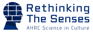 Rethinking the Senses Logo