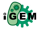 iGem