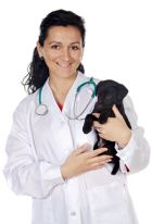 vet with dog