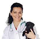 vet with dog