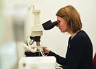 Research image - woman with microscope 140
