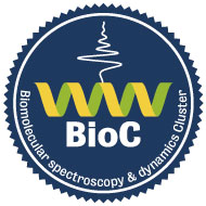 Logo of the Biomolecular spectroscopy & dynamics Cluster