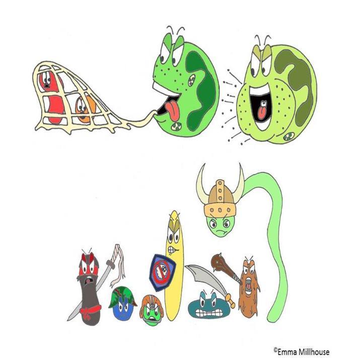 cartoon oral bacteria and immune cells