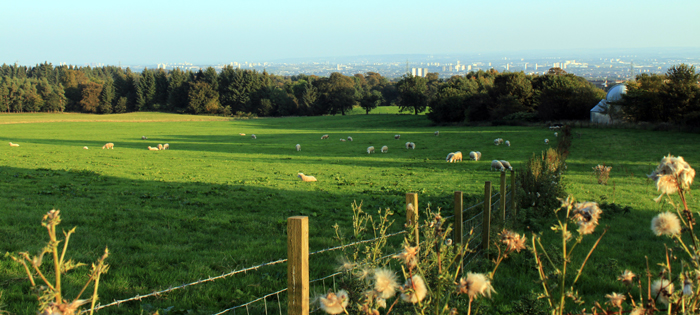 Cochno farm - tile (by Dr Andrew Shaw)