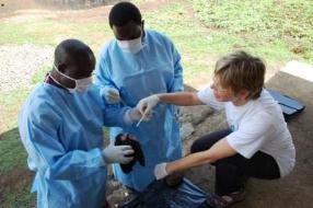 Image of Sarah Cleaveland administering rabies sample collection