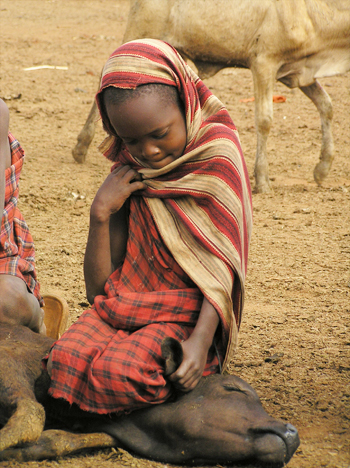 Child with livestock