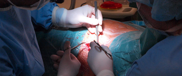 Burns and plastic surgery care