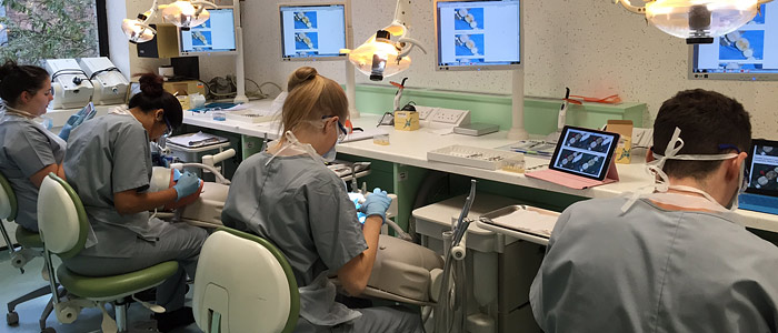 Dental students practising on dummies 