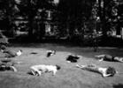 Black and white photograph of people lying on the grass