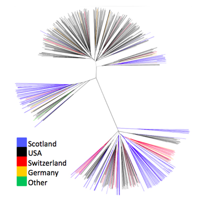 HCV variation