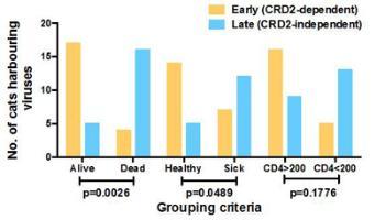 CRD-2 independent viruses graph