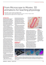 From Microscope to Movies: 3D animations for teaching physiology