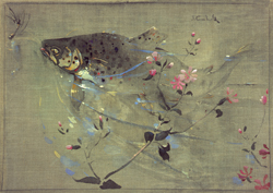 A trout swimming in water.