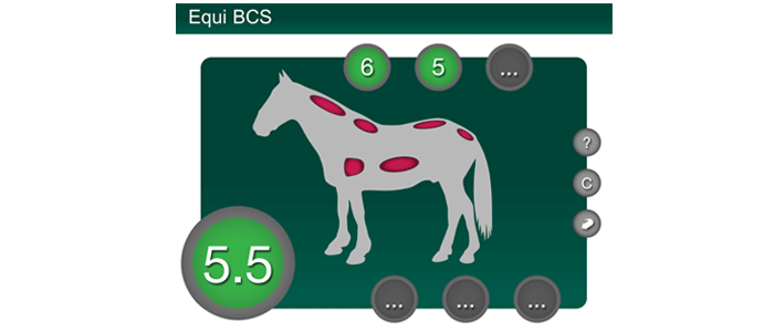 Equine Body Condition Scoring screenshot