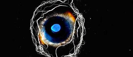 The Eye’s Mind