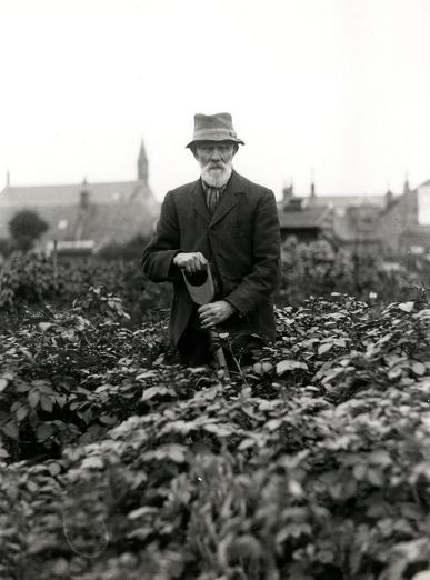 J. Murray tending his allotment, Saltcoats, 1940