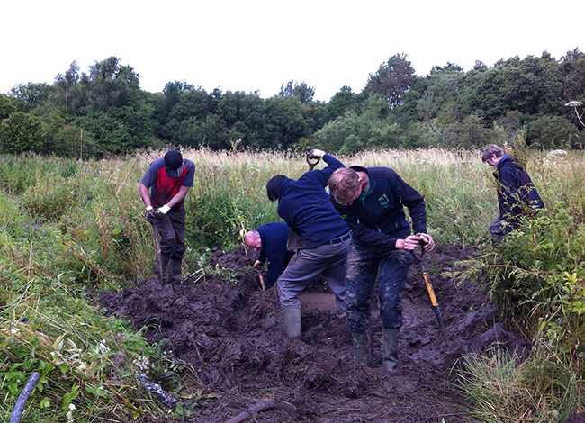 Volunteers digging pond