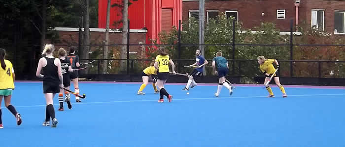 Hockey team in action