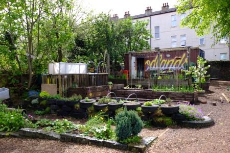 Woodlands community garden 300