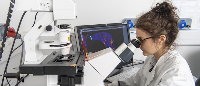 A technician using a microscope in a lab