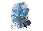 Image of the SSFR logo