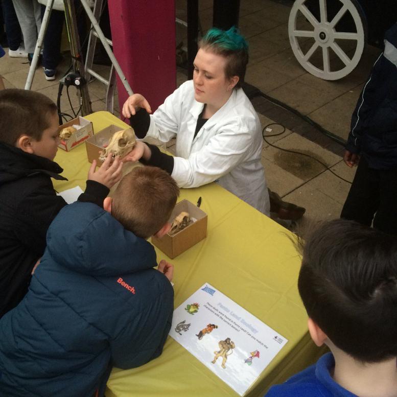 children studying animal skulls at panto science