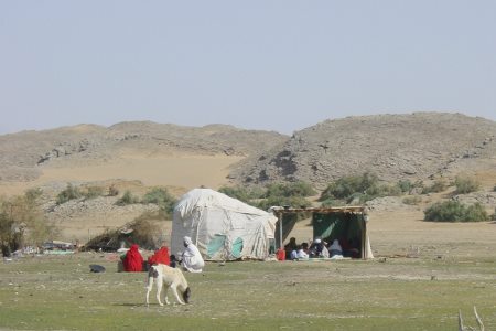 Wadi Allaqi 450