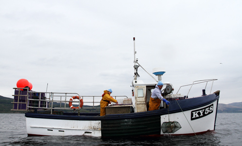 Photograph of the boat used to catch the shellfish. 