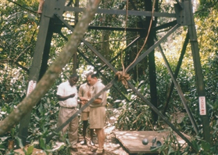 Alexander Haddow in the jungle in the 1940s