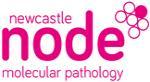 Newcastle node logo