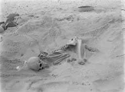 Caption: Human skeleton, Tiree, Scotland, 1912. 
Credit: The Hunterian, University of Glasgow 2016
