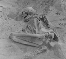 Caption: Human skeleton, Tiree, Scotland, 1912. 
Credit: © The Hunterian, University of Glasgow 2016
