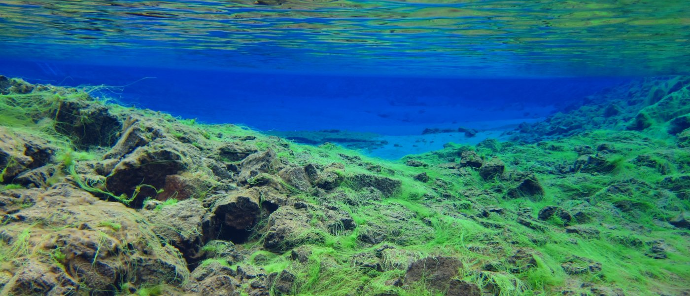 underwater scene