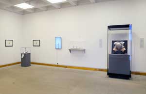 Installation shot of the Hunter to Hirst exhibition.