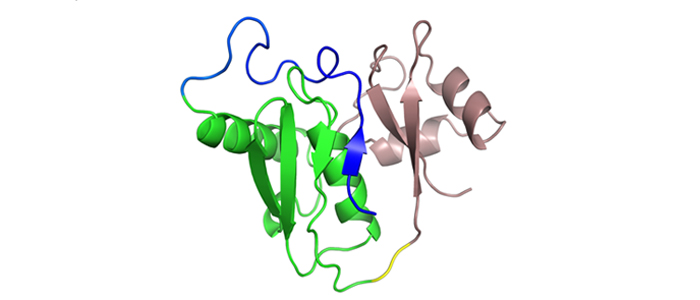 Kbp, E. coli potassium binding protein