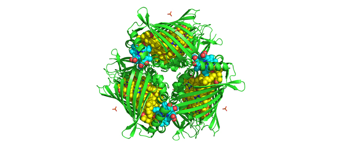 FMO, pigment-protein complex