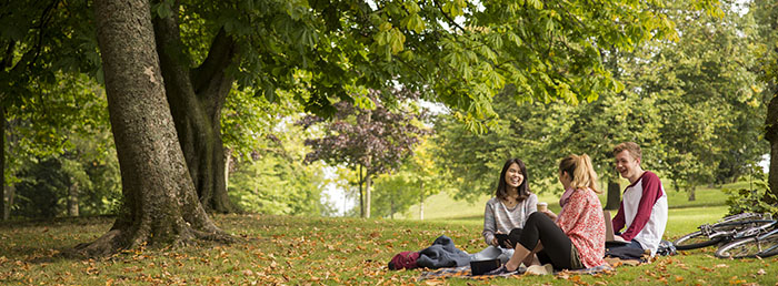 Students sitting under a tree in Kelvingrove Park