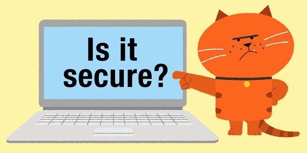 The Cyber Streetwise cat pointing at a laptop with 'Is it secure?' on the screen