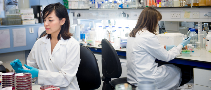Photo of technicians in Infection, Immunity and Inflammation lab