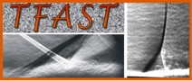 TFAST project logo
