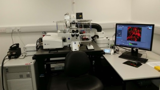 Zeiss LSM 880 Confocal Microscope with Airyscan (CVR Confocal 1)